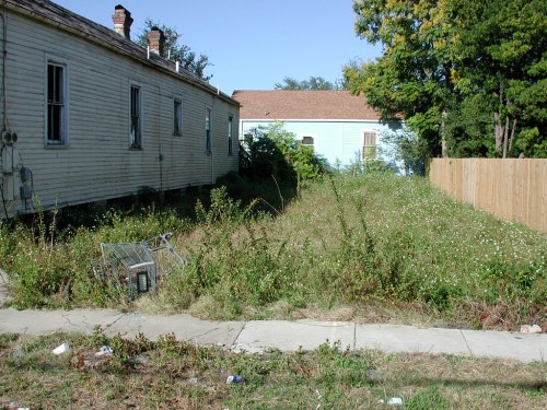 Overgrown vacant lot between two houses, with a shopping cart and scattered debris along the sidewalk.