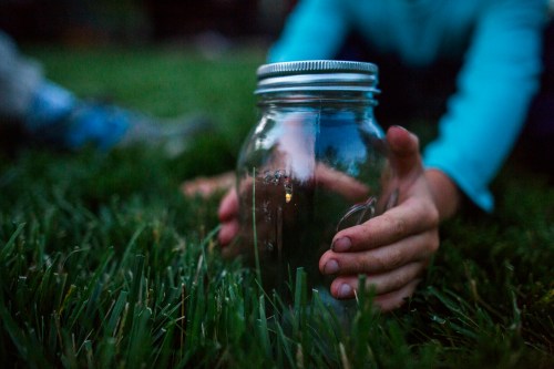 A person’s hands hold a glass jar on grass, with a soft focus on the background and a hint of evening light.