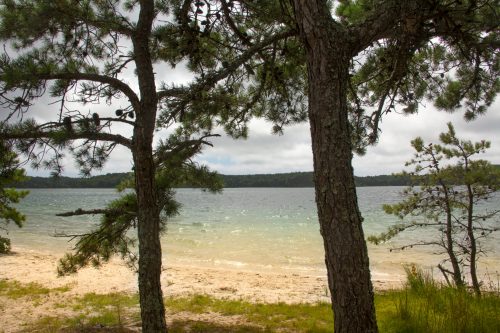 A serene lakeside view framed by trees, with sandy shore and cloudy skies in the background.