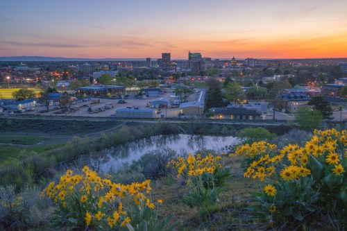 A sunset view over a city skyline, with blooming yellow flowers in the foreground and a calm pond reflecting the colors.