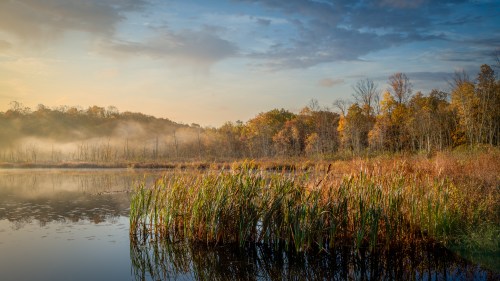 A serene wetland at sunrise, with mist rising over water and colorful autumn trees lining the shore.