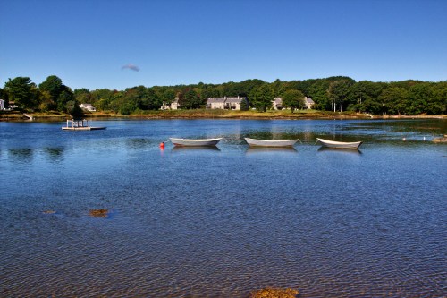 A serene lake scene with four boats anchored in calm water, surrounded by trees and houses under a clear blue sky.