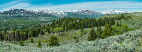 A panoramic view of snow-capped mountains surrounded by lush green forests and rolling hills under a blue sky.