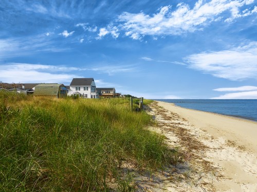 A sandy beach with tall grass, a few houses in the background, and a clear blue sky above.