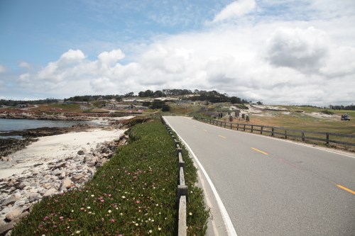 A scenic coastal road lined with flowers, leading towards a grassy hill under a cloudy sky.