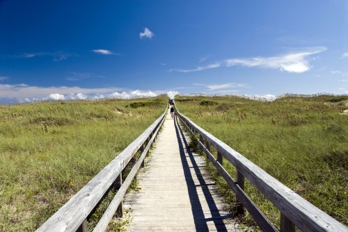 A wooden boardwalk leads through tall grass to a beach under a clear blue sky.