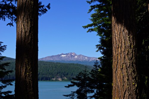 A scenic view of a mountain with snow-capped peaks framed by tall trees, overlooking a calm lake under a clear blue sky.