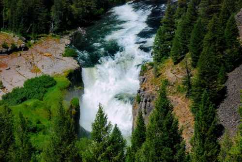 A cascading waterfall flows into a river, surrounded by lush green trees and rocky terrain.