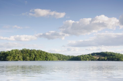 A serene lake surrounded by lush green trees under a blue sky with fluffy white clouds.
