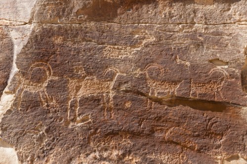 Petroglyphs of animals carved into a rocky surface, showcasing ancient artwork and cultural heritage.