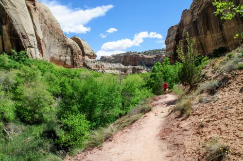 A person walks along a dirt path through a lush green canyon surrounded by towering rock formations under a blue sky.