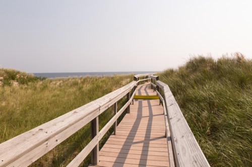 A wooden boardwalk winds through tall grass, leading to the ocean under a clear sky.