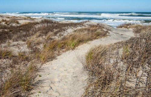 A sandy beach path leads through tall grasses to the ocean, with waves crashing in the background under a clear blue sky.