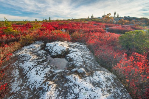 A rocky landscape with vibrant red foliage and a clear sky, showcasing autumn colors in a natural setting.