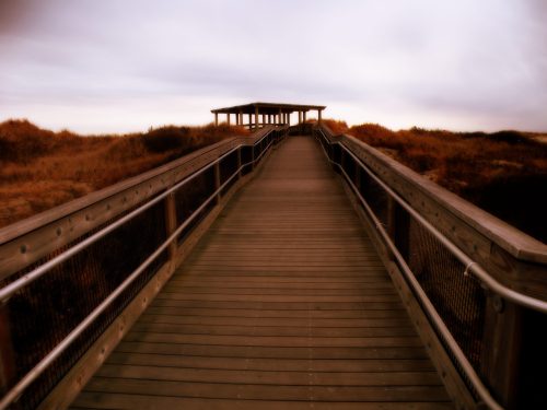 A wooden boardwalk leads to a covered viewing platform, surrounded by tall grass under a cloudy sky.