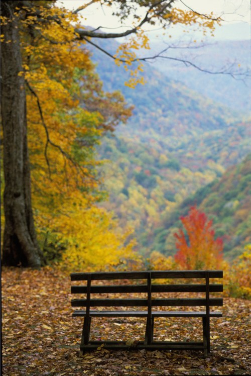 A wooden bench overlooks a colorful autumn landscape with vibrant trees and a valley in the background.