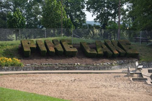 A grassy hillside displays the words "Pine Lake" shaped from trimmed bushes, surrounded by trees and a sandy area.