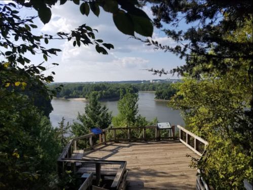 Scenic view from a wooden overlook, surrounded by trees, overlooking a river and lush green landscape.