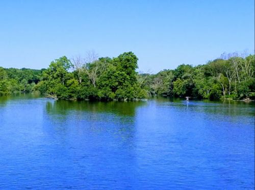A serene river scene with lush green trees and clear blue water under a bright blue sky.