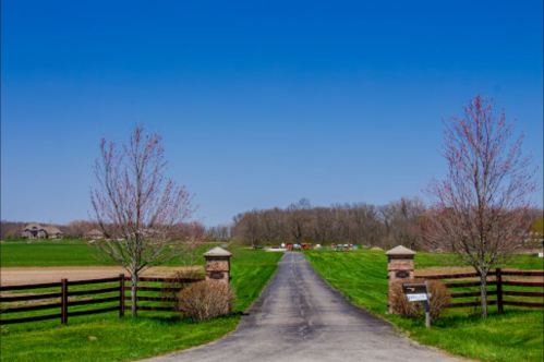 A scenic driveway lined with trees leads to a green field under a clear blue sky.