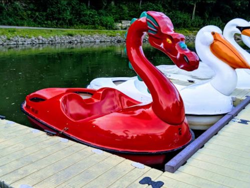 A red swan-shaped paddle boat with a dragon head, docked beside a white swan boat on a calm lake.