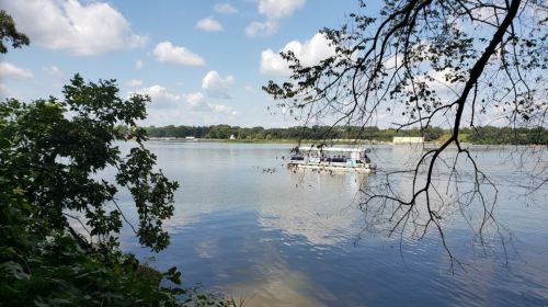 A boat floats on a calm river surrounded by trees and a clear blue sky with fluffy clouds.