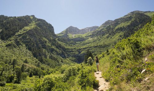 A person stands on a trail surrounded by lush green mountains and a clear blue sky.