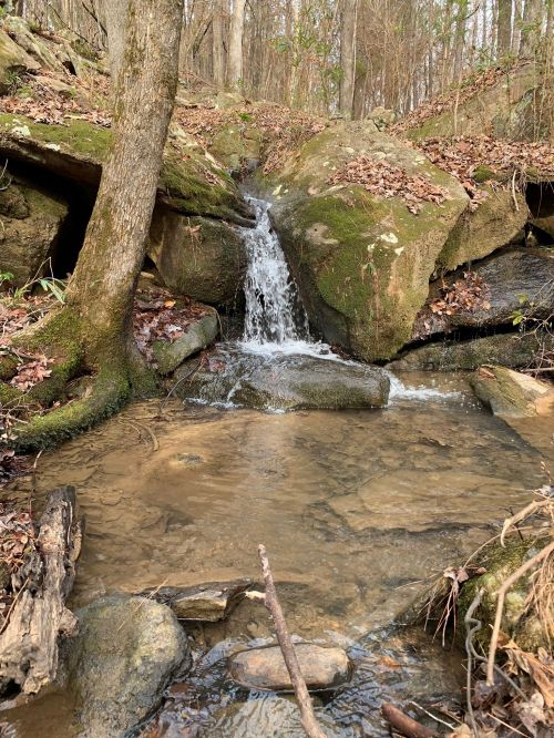 A small waterfall cascades over rocks into a shallow pool, surrounded by trees and fallen leaves.