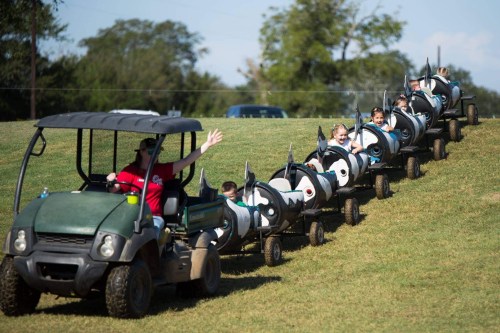 A man drives a small vehicle pulling a train of children on a grassy hill, enjoying a sunny day outdoors.