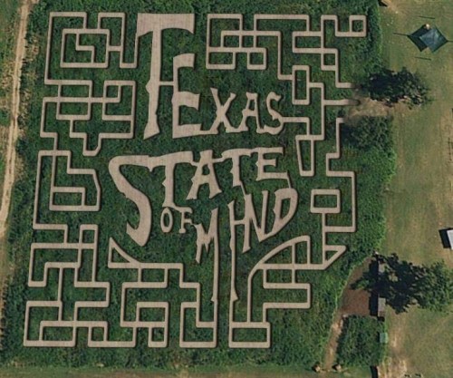 Aerial view of a corn maze featuring the words "Texas State of Mind" carved into the design.