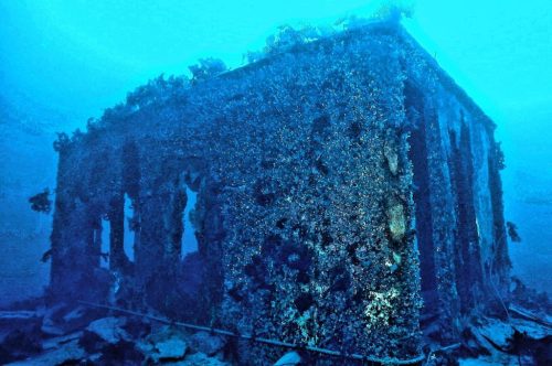 An underwater structure covered in marine life and algae, surrounded by blue water.
