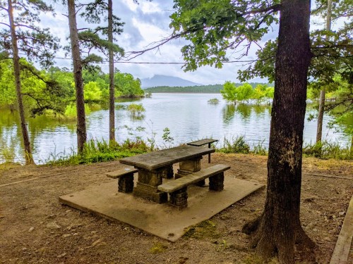 A picnic table by a serene lake, surrounded by trees and lush greenery under a cloudy sky.