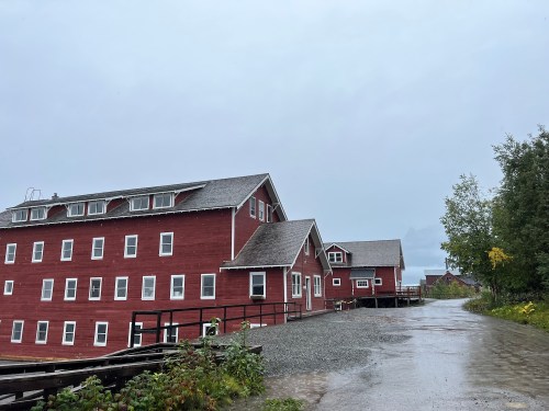 Red wooden buildings line a gravel path under a gray sky, surrounded by greenery. Rain is visible on the ground.