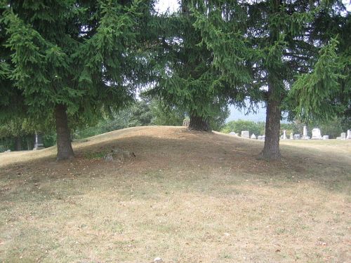 A grassy mound between two tall trees, with a cemetery visible in the background.