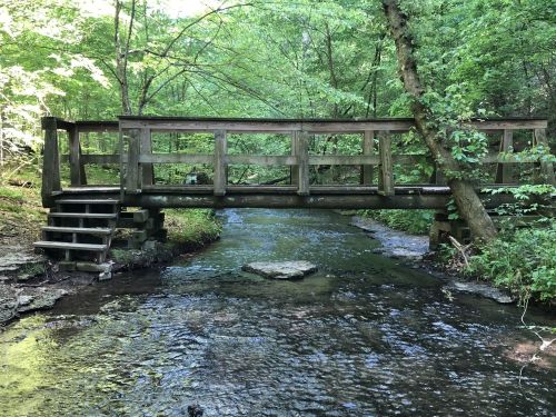 A wooden bridge spans a small creek, surrounded by lush green trees and sunlight filtering through the leaves.