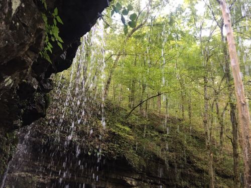 A serene waterfall cascades down rocky cliffs, surrounded by lush green trees and a tranquil forest setting.