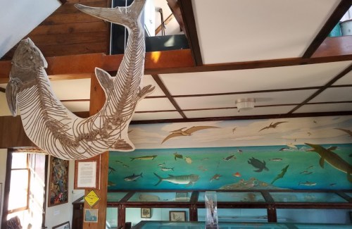 A mural of various fish and marine life on a wall, with a large fish model suspended above.
