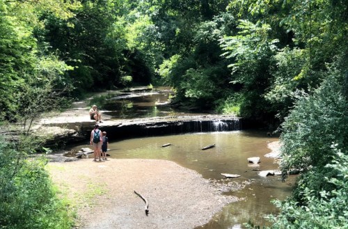 A serene creek surrounded by lush greenery, with people exploring the water and a small waterfall in the background.