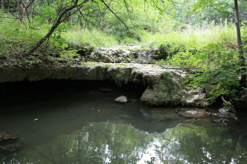 A serene natural scene featuring a rocky ledge over a calm, reflective pond surrounded by lush greenery.