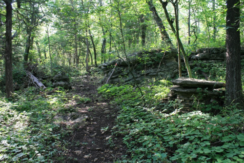 A narrow, overgrown trail winds through a lush green forest with rocky outcrops and scattered trees.
