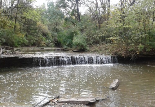 A serene creek with a small waterfall surrounded by lush green trees and rocky banks.