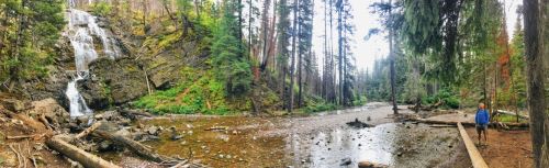 A serene forest scene featuring a waterfall, a river, and a person standing near the water surrounded by tall trees.