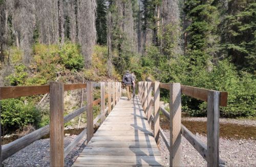 Two people walk across a wooden bridge surrounded by lush greenery and tall trees in a serene forest setting.
