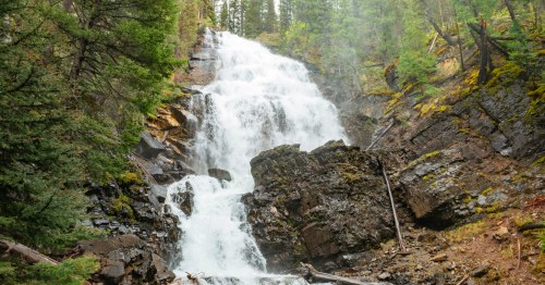 A cascading waterfall flows over rocky terrain, surrounded by lush green trees and mossy rocks.