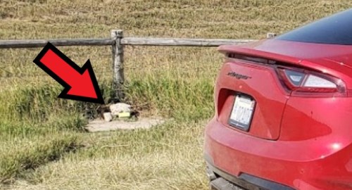 A red car parked near a grassy area with a rock and a small object on the ground, marked by an arrow.