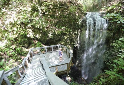 A wooden observation deck overlooks a serene waterfall surrounded by lush greenery. A person stands admiring the view.