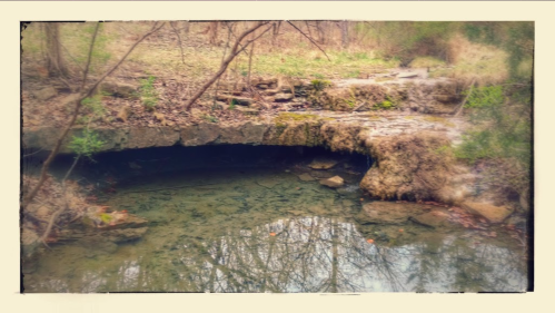 A moss-covered stone bridge over a calm stream, surrounded by trees and greenery in a serene natural setting.