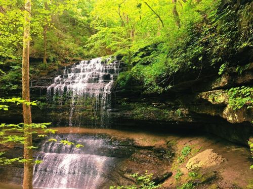A serene waterfall cascades over rocky ledges, surrounded by lush green trees and foliage in a tranquil forest setting.
