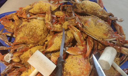 A pile of seasoned crabs on a blue tray, with a mallet and knife nearby for cracking shells.