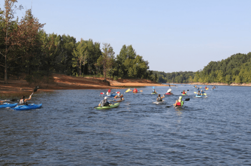 A group of kayakers paddles along a calm river surrounded by trees and a sandy shore on a sunny day.